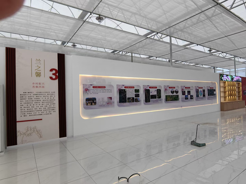 蝴蝶花开红色长沙党建展厅 蝴蝶花开红色长沙党建展厅